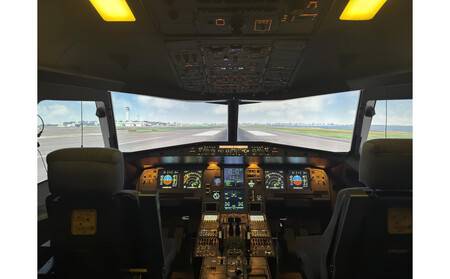 A320フライトシミュレーター60分操縦体験 APD0001