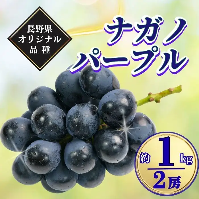 【2026年先行予約】ナガノパープル 約1kg|ぶどう