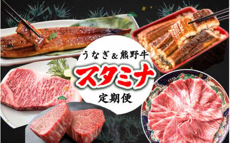 定期便【全3回/毎月お届け】－松－ 国産うなぎ＆熊野牛 スタミナ定期便 / 定期便 鰻 牛肉 サーロイン ギフト プレゼント お祝い 冷凍便 クール便 【tkb365】