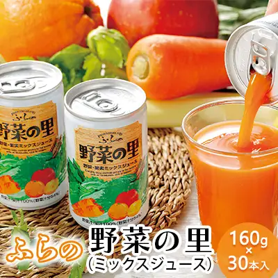 【ふるなびWEEK対象】ふらの 野菜の里 160g×30本入　野菜 果物 ミックスジュース ( ジュース 野菜ジュース 飲み物 缶 北海道 送料無料 道産 富良野市 ふらの )