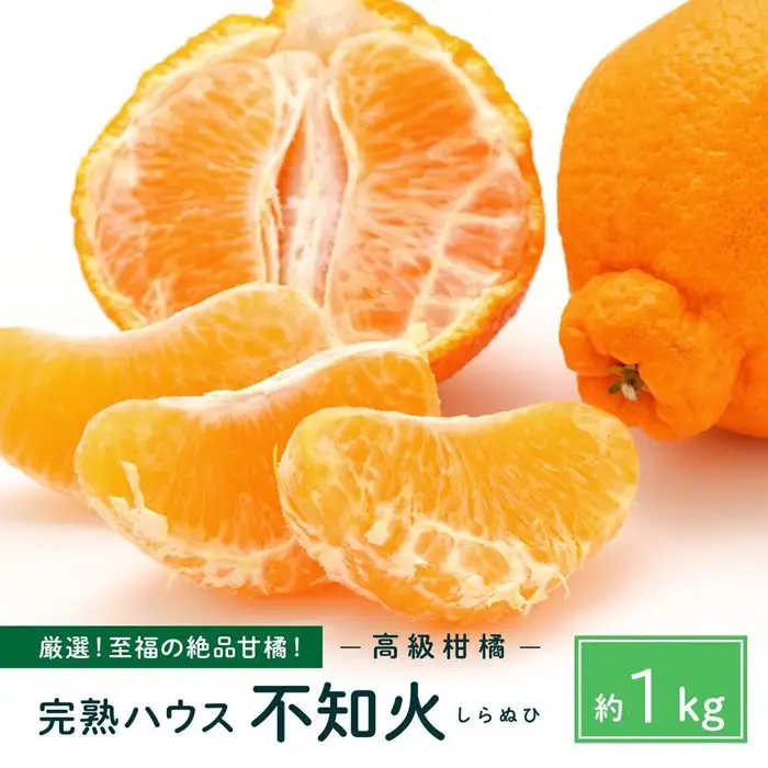 越冬完熟しらぬひ 1.4kg 3月上旬～｜みかん 柑橘 しらぬい 不知火 しらぬい 尾道市