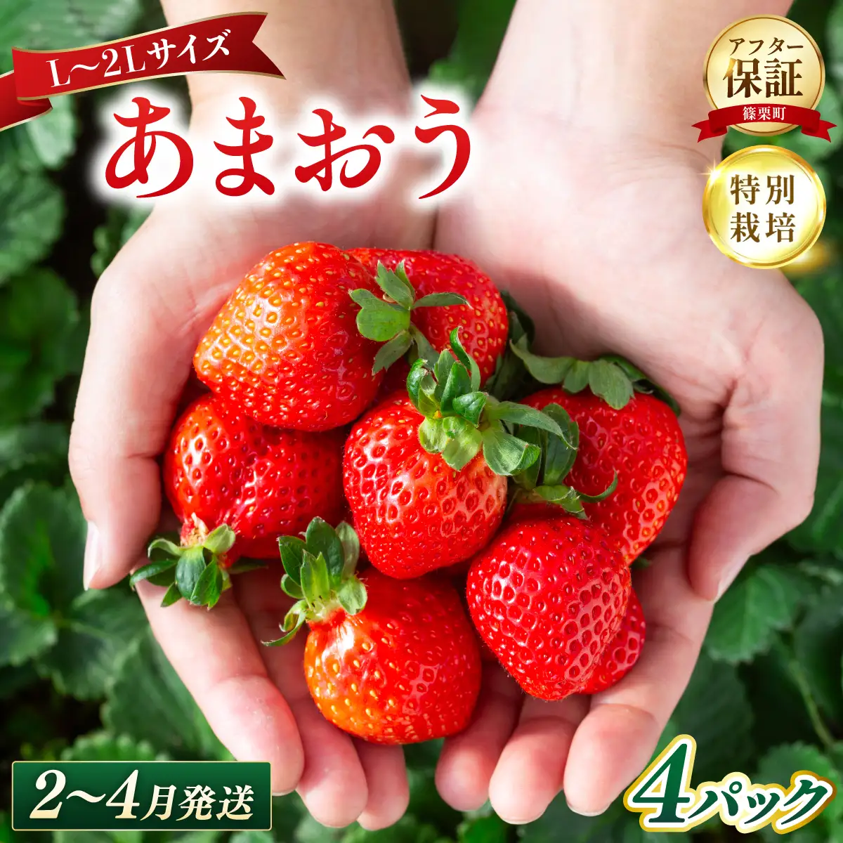 いちご 福岡県産 特別栽培 あまおう L~2Lサイズ（少し小ぶりサイズ）約1140g（約285g×4パック）【2～4月発送】| 農園直送 アフター保証 先行予約 福岡産 送料無料 ケーキ ギフト お祝い 限定 季節限定 UN004