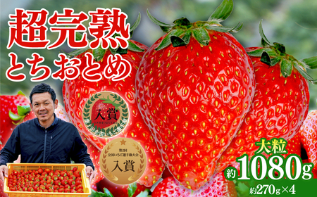 いちご【1月以降発送】とちおとめ 大粒 約270g×4 合計 約1080g | イチゴ 栃木県 茂木町