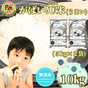 CID14_【がばい！U米(うまい)】≪無洗米≫お徳用１０ｋｇ！ （５ｋｇ×２袋）