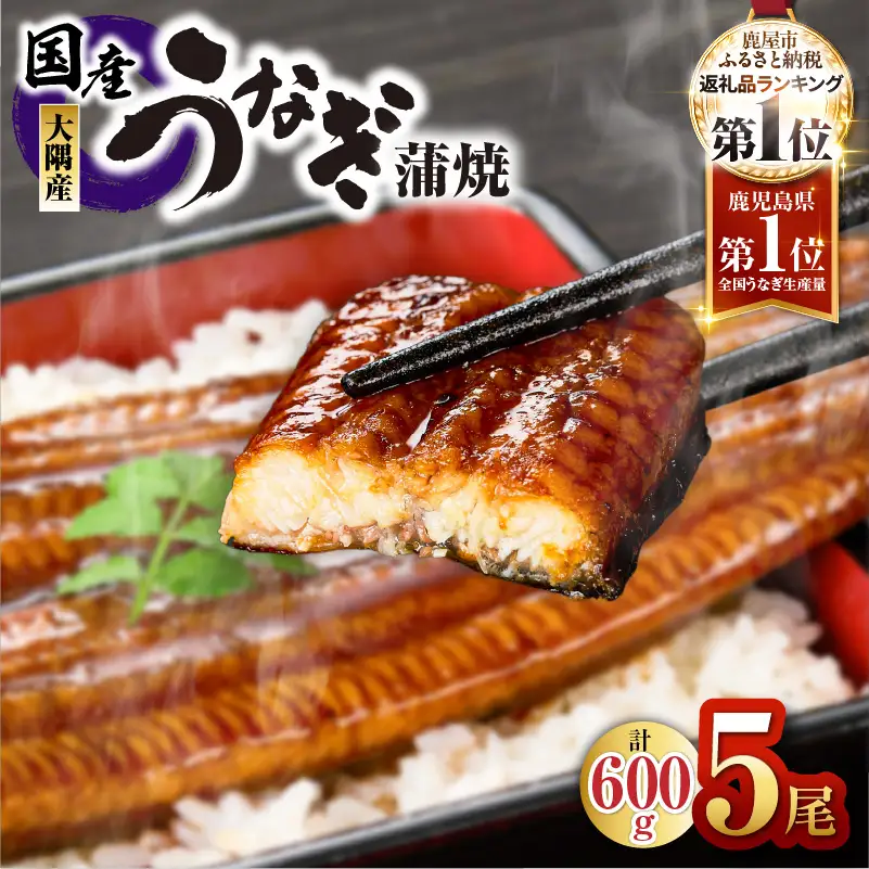 【 土用の丑の日特集 】鹿児島県大隅産 うなぎ蒲焼 5尾 セット（計600g） KN007-022  うなぎ 鰻 魚 惣菜 総菜