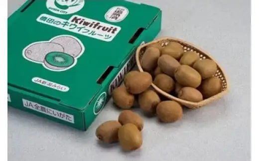 キウイフルーツ 3.6kg 追熟済み 国産 新潟 五泉市 橋田産｜キウイ フルーツ