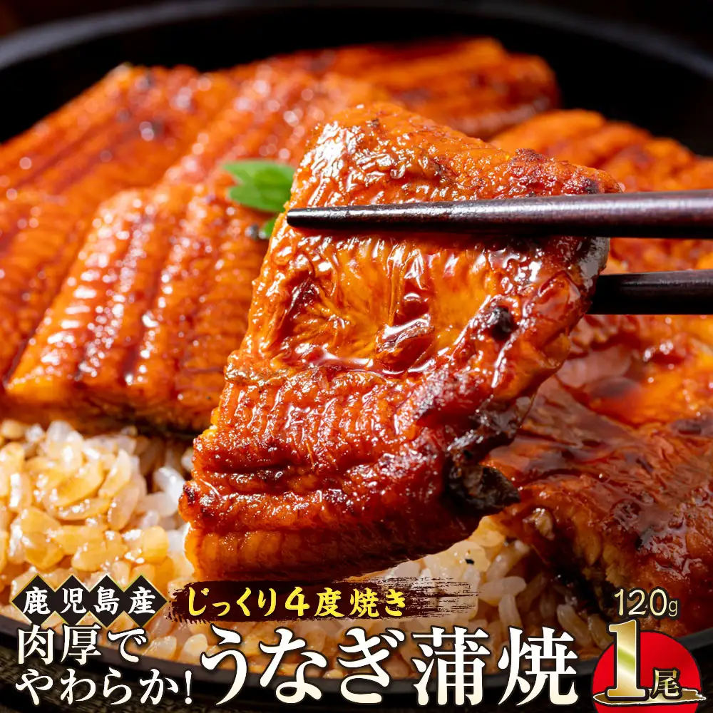 うなぎ 蒲焼 120g×1尾【鹿児島産】地下水で育てた絶品鰻｜うなぎ