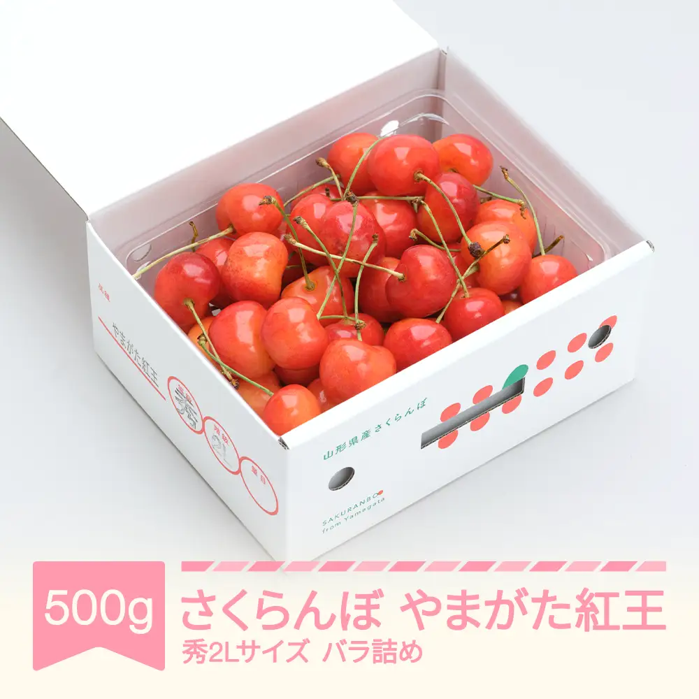 【先行予約】 さくらんぼ やまがた紅王 秀2L 500gバラＰ 令和9年産 ns-ybs2b500