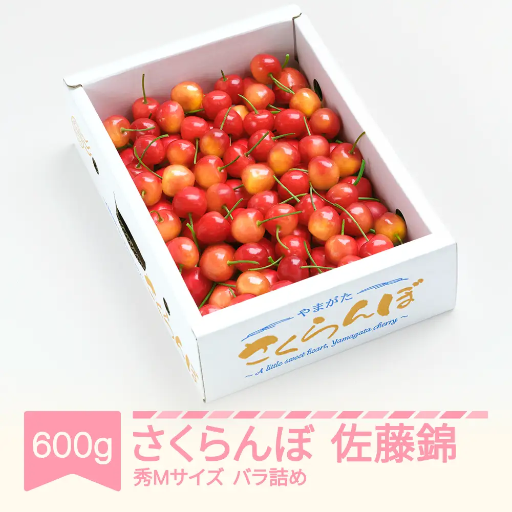 【先行予約】 さくらんぼ 佐藤錦 秀M 600g 令和9年産 ns-snsmb600