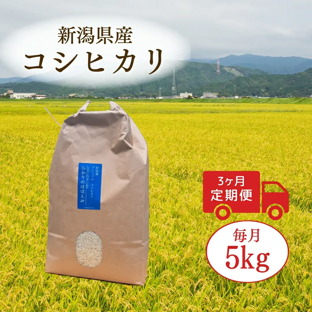 【3回定期便】令和7年産 コシヒカリ 5kg | コシヒカリ 白米 米 新潟県産 五泉市