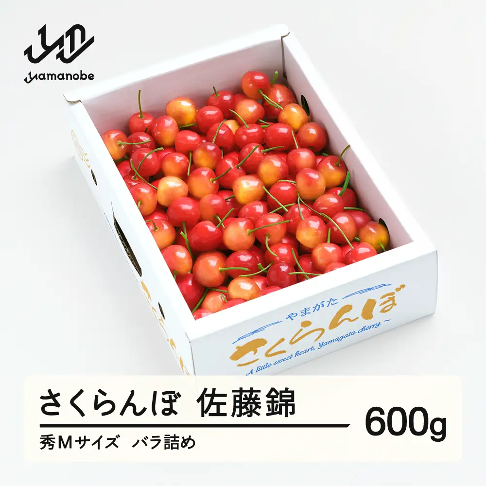 【先行予約】さくらんぼ 佐藤錦 秀Mサイズ バラ詰め 600g (600g×1箱) 2027年産 令和9年産 山形県産 ns-snsmb600