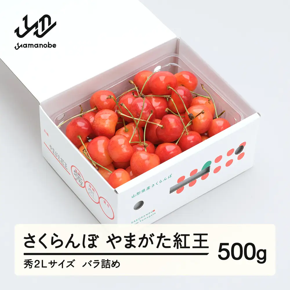 《先行予約》 さくらんぼ 紅王 秀2Lサイズ 500g 2027年産 令和9年産 山形県産 ns-ybs2b500