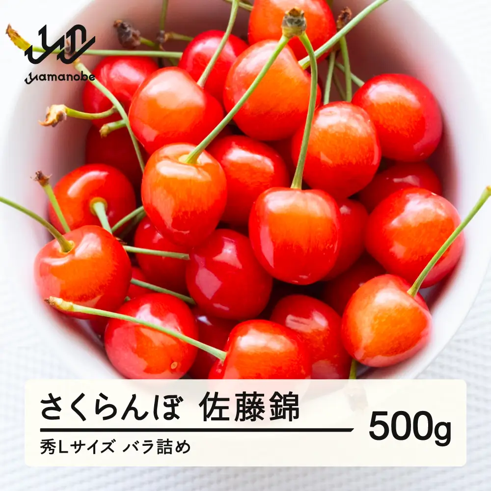 《先行予約》 さくらんぼ 佐藤錦 秀Lサイズ 500g 2027年産 令和9年産 山形県産 ns-snslb500