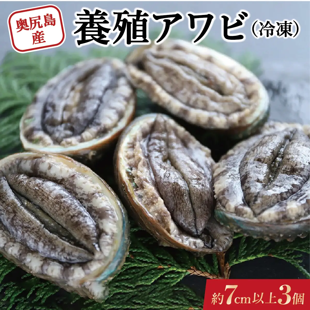 奥尻島産 冷凍 養殖アワビ (3個入り) 1個 約70mm | 新鮮 あわび アワビ 鮑 魚介 酒蒸し バター焼き 刺身 天ぷら グルメ お取り寄せ | 北海道 奥尻町 送料無料