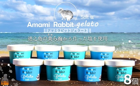 《年末（12月）お届け！》ふるさと納税限定 美ら海の塩と濃厚ミルク。アマミラビットジェラート（Salt：8個）( アイス ジェラート スイーツ ウサギ うさぎ アマミノクロウサギ 濃厚 プレゼント ギフト 限定 世界自然遺産 徳之島町 鹿児島 人気 )