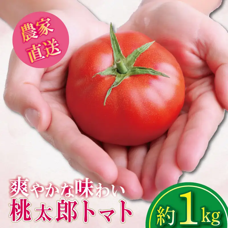 【2027年4月発送】 桃太郎トマト 約1kg 先行予約 トマト