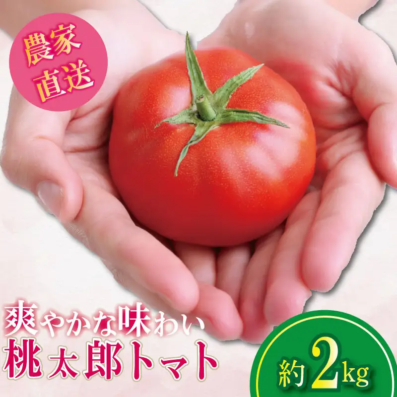 【2027年1月発送】 桃太郎トマト 約2kg 先行予約 トマト