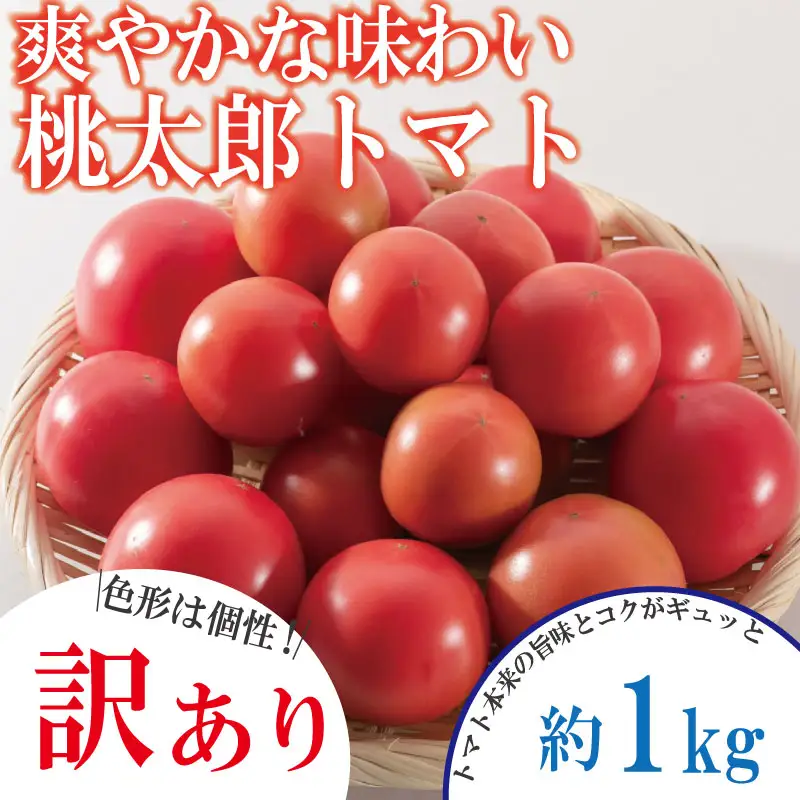【訳あり】 【2027年2月発送】 桃太郎トマト 約1kg 先行予約 トマト
