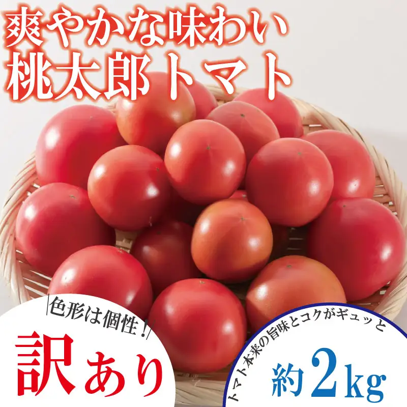 【訳あり】 【2027年2月発送】 桃太郎トマト 約2kg 先行予約 トマト