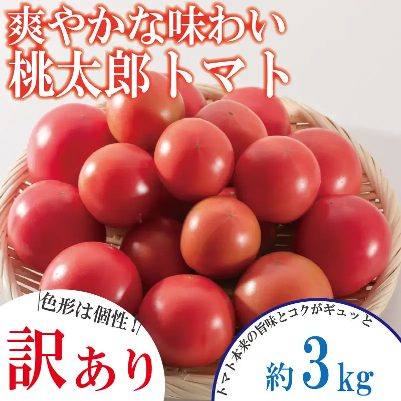 【訳あり】 【2027年3月発送】 桃太郎トマト 約3kg 先行予約 トマト