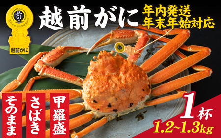【先行予約】選べる！美味しさ直送【成前特選】越前かに（1.2～1.3kg）1杯【年内発送・年末年始対応】【O-028020】/ ｽﾞﾜｲｶﾞﾆｽﾞﾜｲｶﾞﾆｽﾞﾜｲｶﾞﾆ