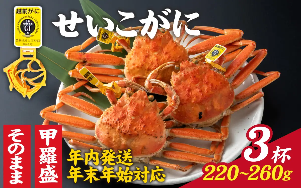 【先行予約】選べる！美味しさ直送【成前特選】せいこがに（220g～260g）×3杯【年内発送・年末年始対応】[L-028030] / せいこがに