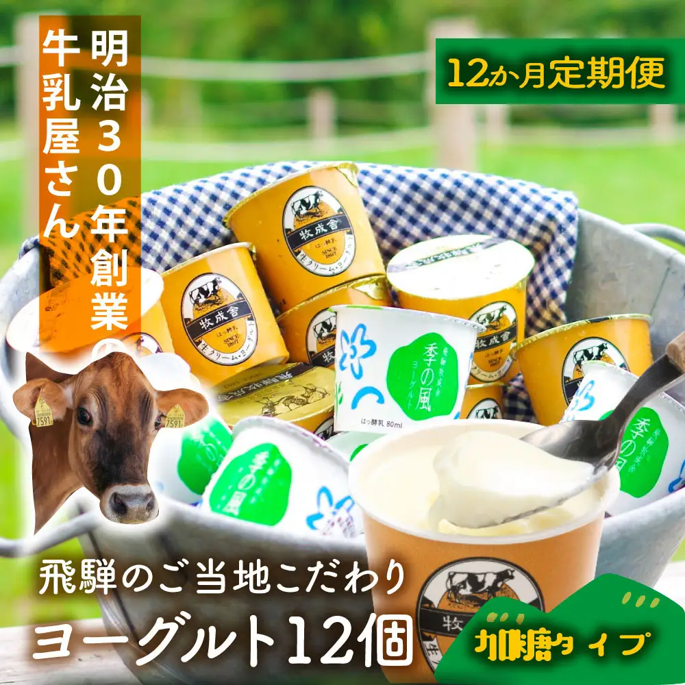 【定期12か月便】牧成舎のヨーグルトたっぷり12個セット（加糖2種×各６）DF219
