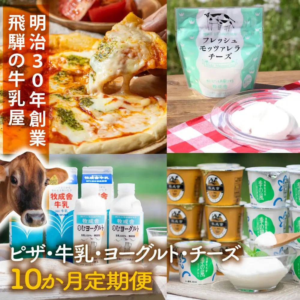 【全10回定期便】毎月お楽しみ10か月企画（ピザ・牛乳・チーズ・ヨーグルト）｜定期便DF234