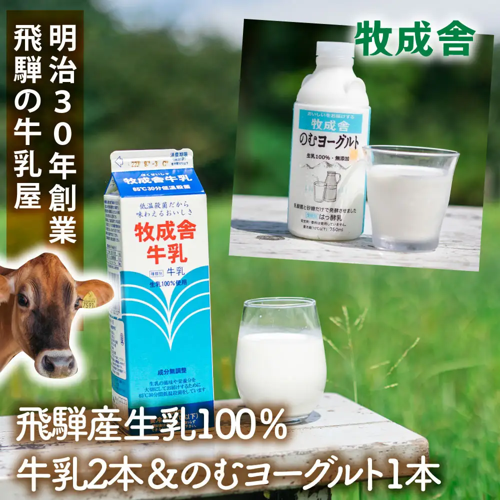 飛騨産 低温殺菌 牛乳 ＆ 飲むヨーグルトセット 合計3本｜ 牛乳 DF044