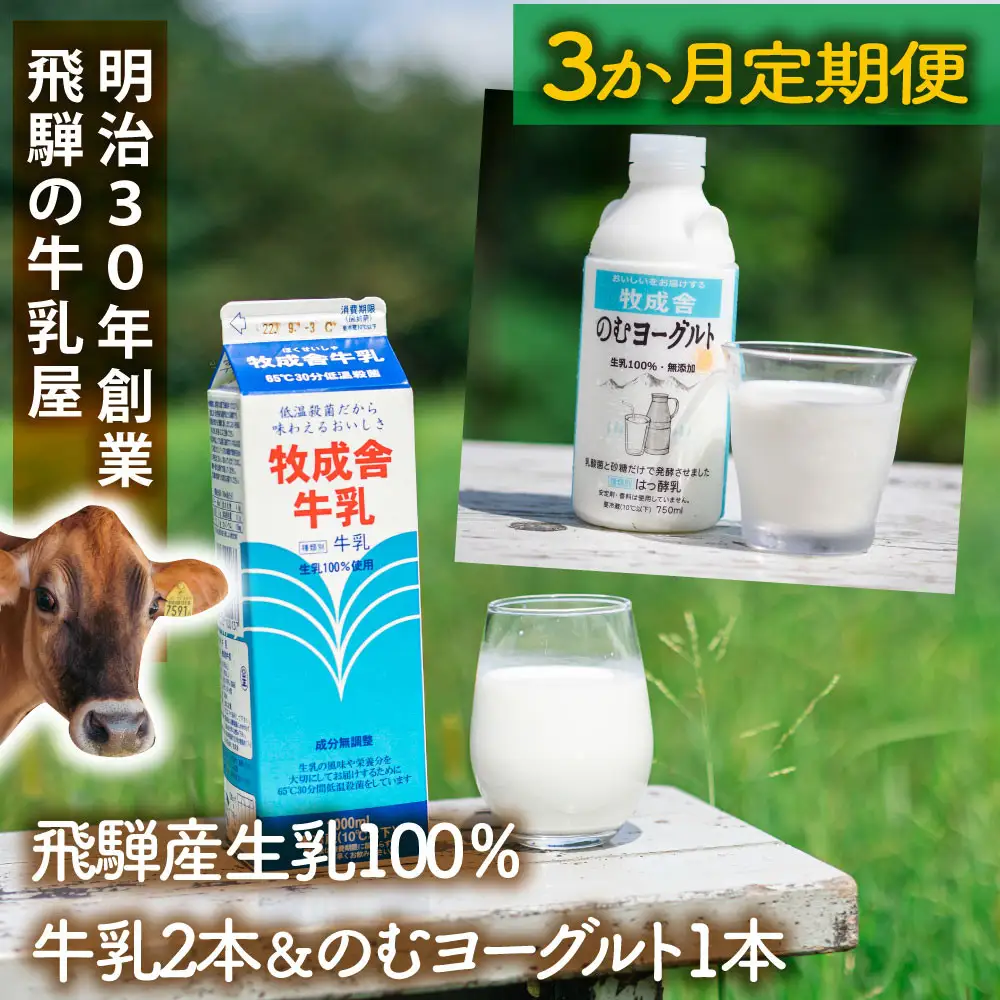 【3か月定期便】牧成舎の飛騨産低温殺菌牛乳と飲むヨーグルトセット｜牛乳1000ml×2本＋のむヨーグルト750ml×1本｜食品添加物不使用・お取り寄せ・健康習慣｜ (有)牧成舎 DF236