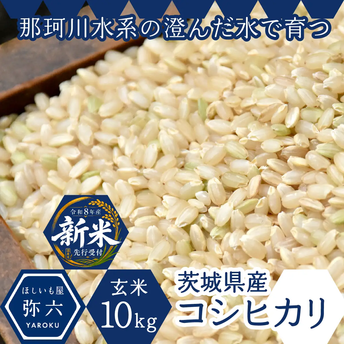 令和8年度米 コシヒカリ 玄米 10kg 農家直送 | 新米 令和8年 先行受付 期間限定 