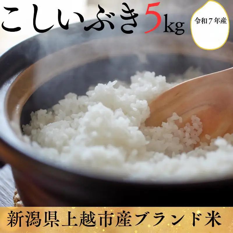 米ヴィレッジさんわ こしいぶき 白米 5kg こしいぶき