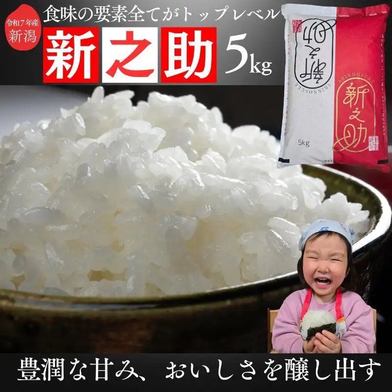 米ヴィレッジさんわ 新之助 白米 5kg 新之助