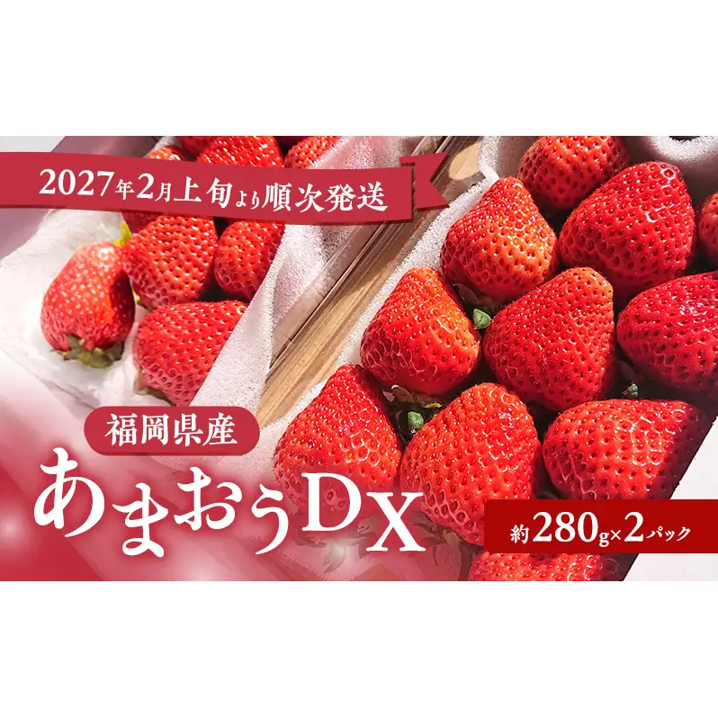あまおう DX いちご 福岡県産 あまおう【約250〜270g×2パック】【先行予約】