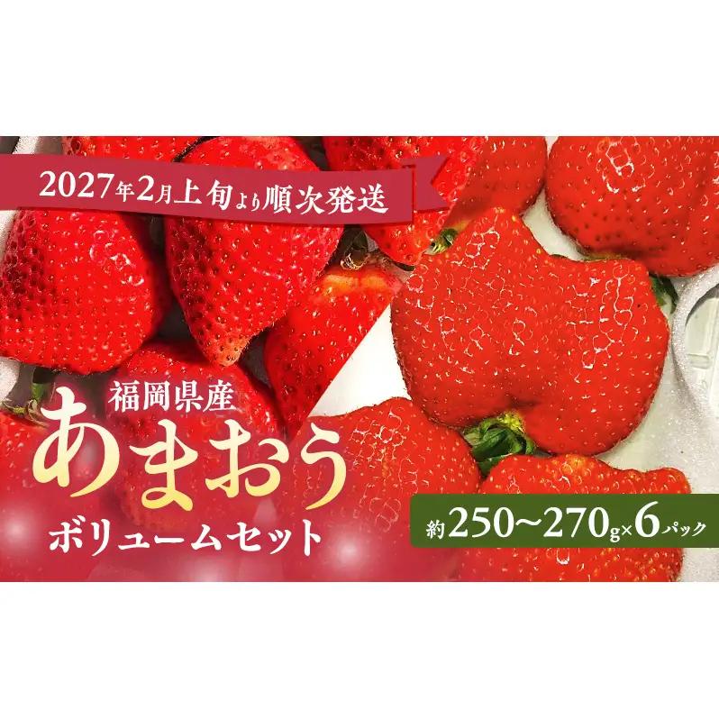 あまおう ボリュームセット いちご 福岡県産 あまおう【6パック】【先行予約】