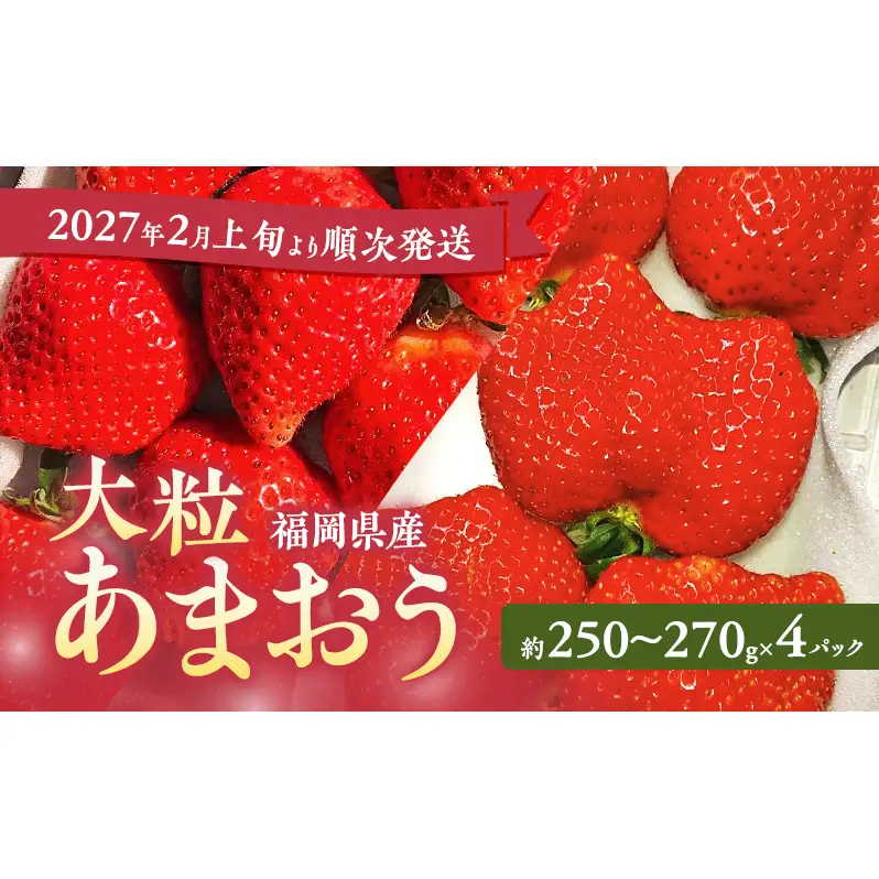 あまおう 大粒 いちご 福岡県産 あまおう【4パック】【先行予約】