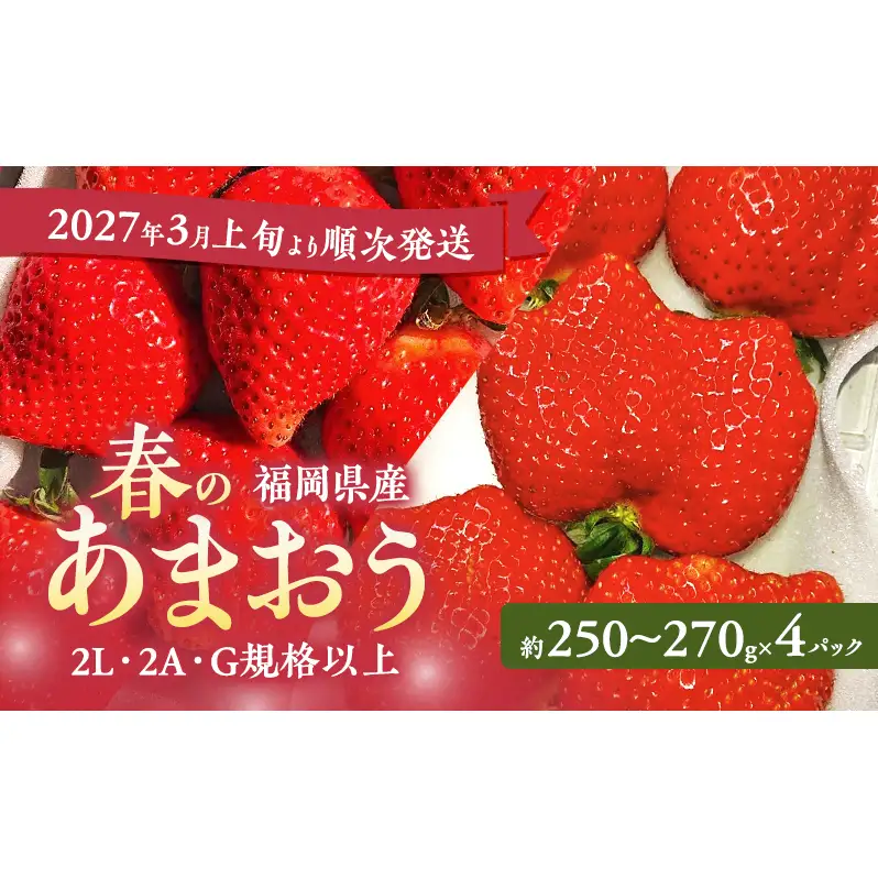あまおう 春 2L・2A・G規格以上 福岡県産 あまおう【4パック】【先行予約】