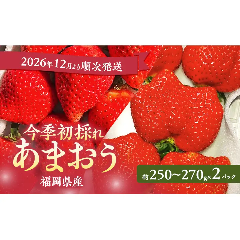 あまおう 今季初採れ いちご 福岡県産 あまおう【2パック】【先行予約】