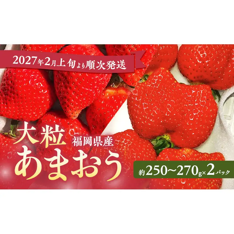 あまおう 大粒 いちご 福岡県産 あまおう【2パック】【先行予約】