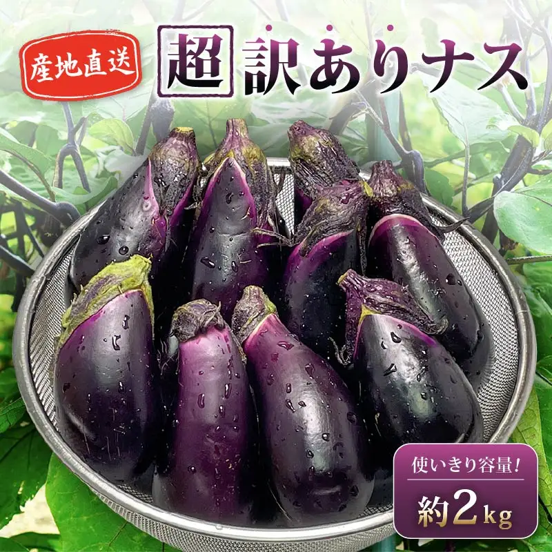 安田町産 「超」 訳あり ナス なす 2kg 新鮮 野菜 茄子 TR-0003