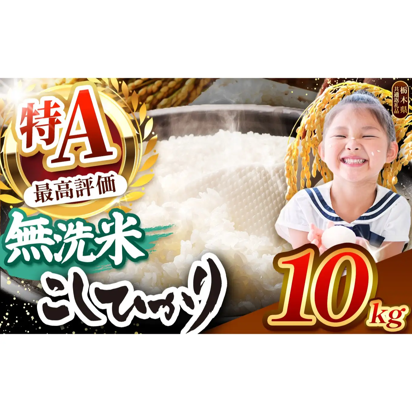【先行予約】栃木県産コシヒカリ 無洗米 10kg 【栃木県共通返礼品】