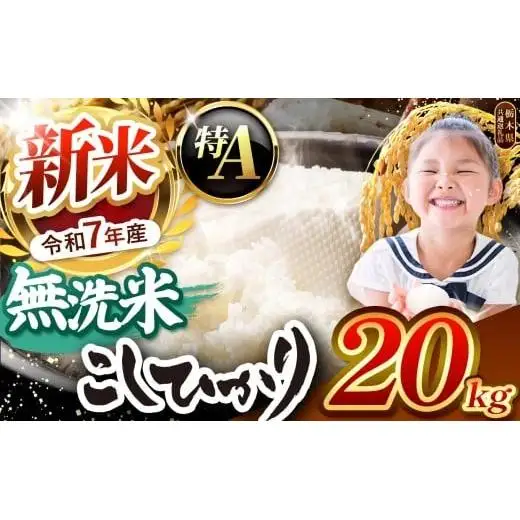 【先行予約】栃木県産コシヒカリ 無洗米 20kg 【栃木県共通返礼品】
