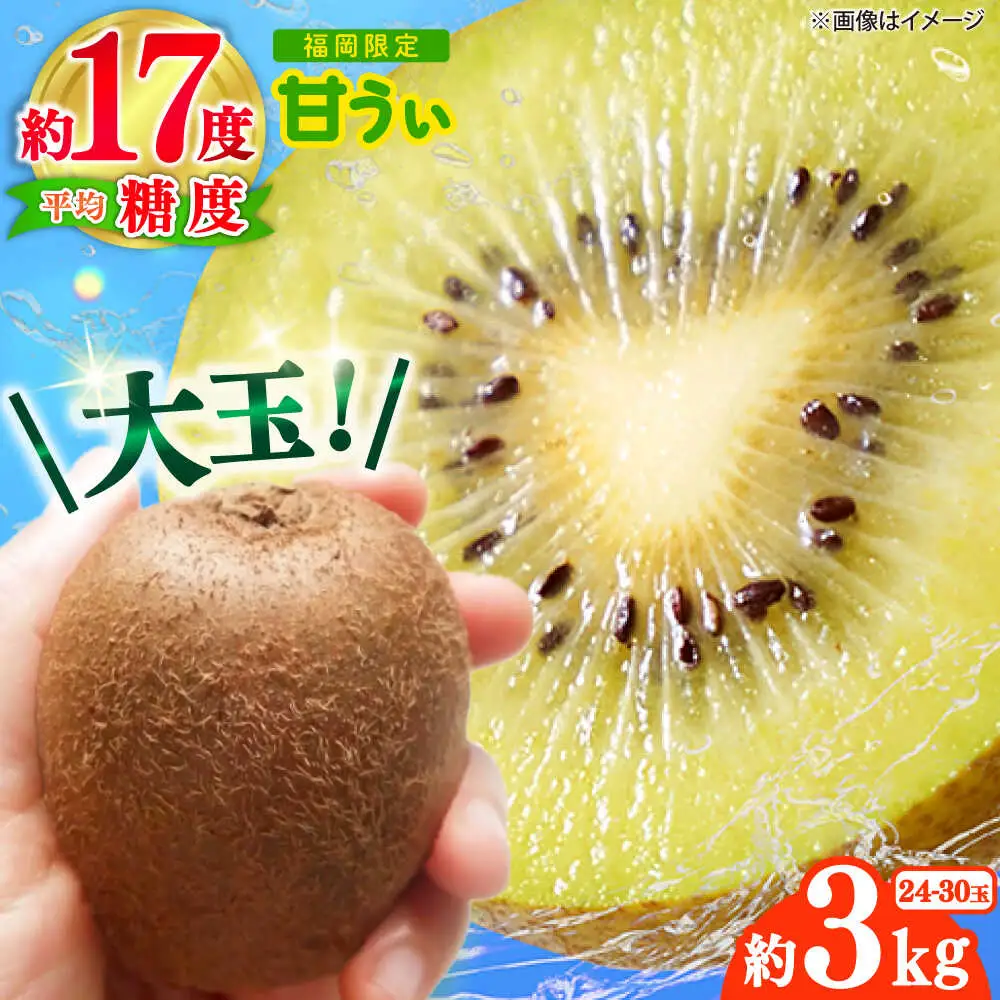 先行予約 キウイフルーツ 甘うぃ 約3kg 24-30玉[BGAG018] きうい
