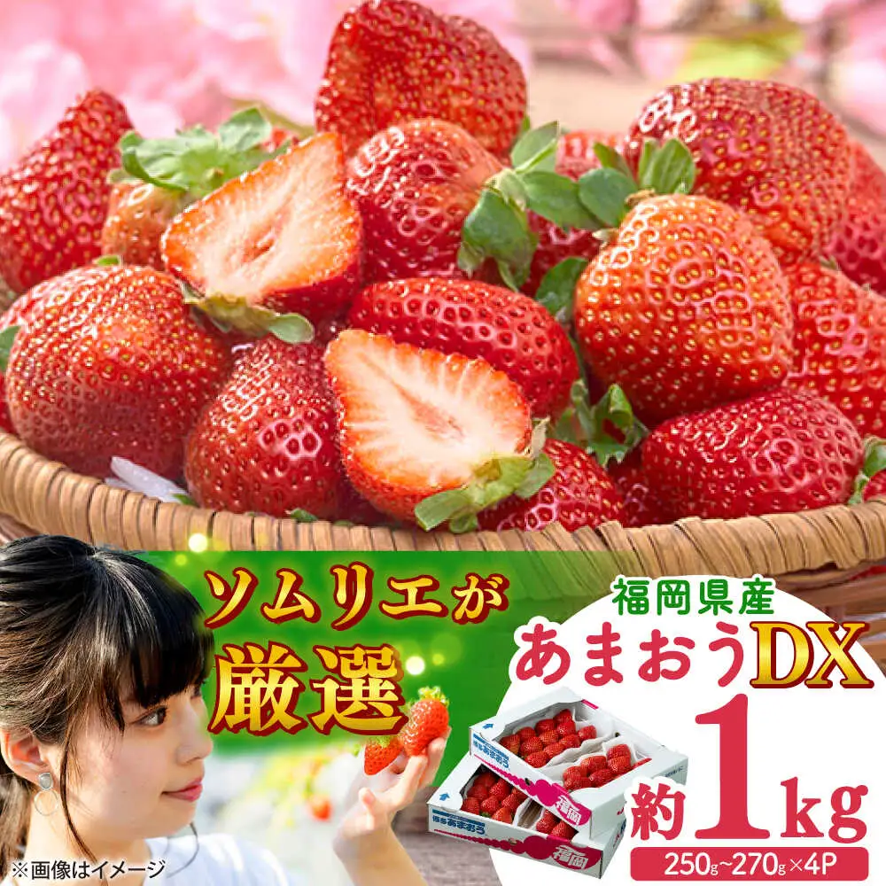 【先行予約】春あまおう DX 4P BGAG019 苺 イチゴ あまおう