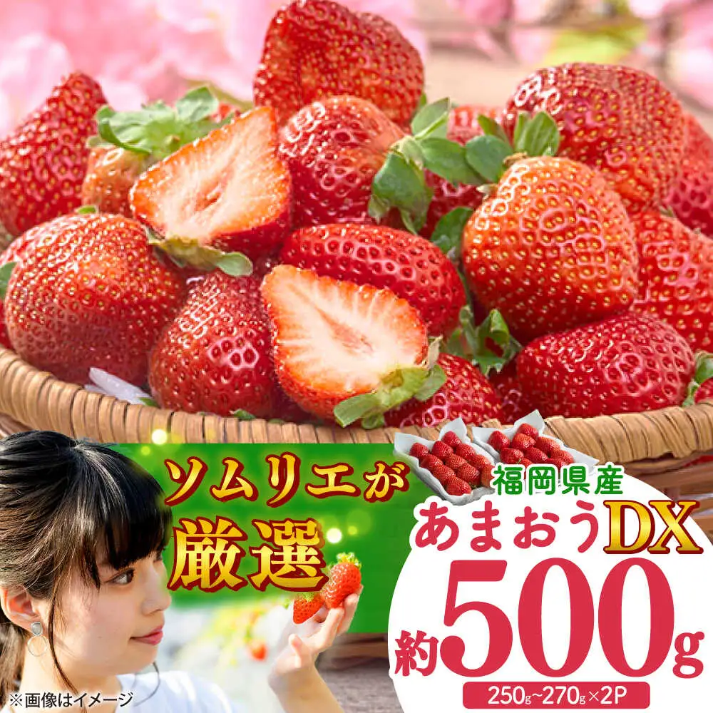 【先行予約】冬あまおう DX 2P BGAG020 苺 イチゴ あまおう