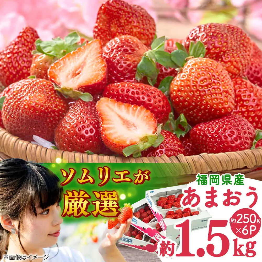 【先行予約】春あまおう6P BGAG026 あまおういちご