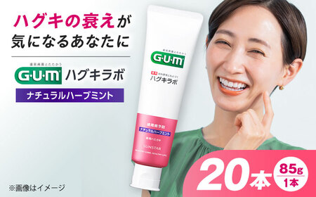 GUMハグキラボ デンタルペースト 85g（ナチュラルハーブミント）20本[AOAD049] はみがき