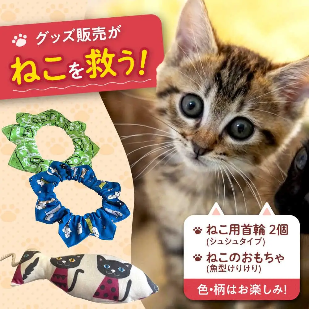 ねこ雑貨セット ねこ用首輪（シュシュタイプ）＆ねこのおもちゃ（魚型けりけり）WithCat[AOEI001] 
