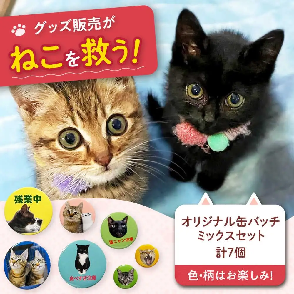 ねこ雑貨 オリジナル缶バッチミックスセット 大阪府高槻市/WithCat[AOEI004]