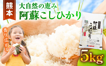 【令和7年産】熊本県産 阿蘇コシヒカリ 5kg 白米 コシヒカリ[BHBP001]